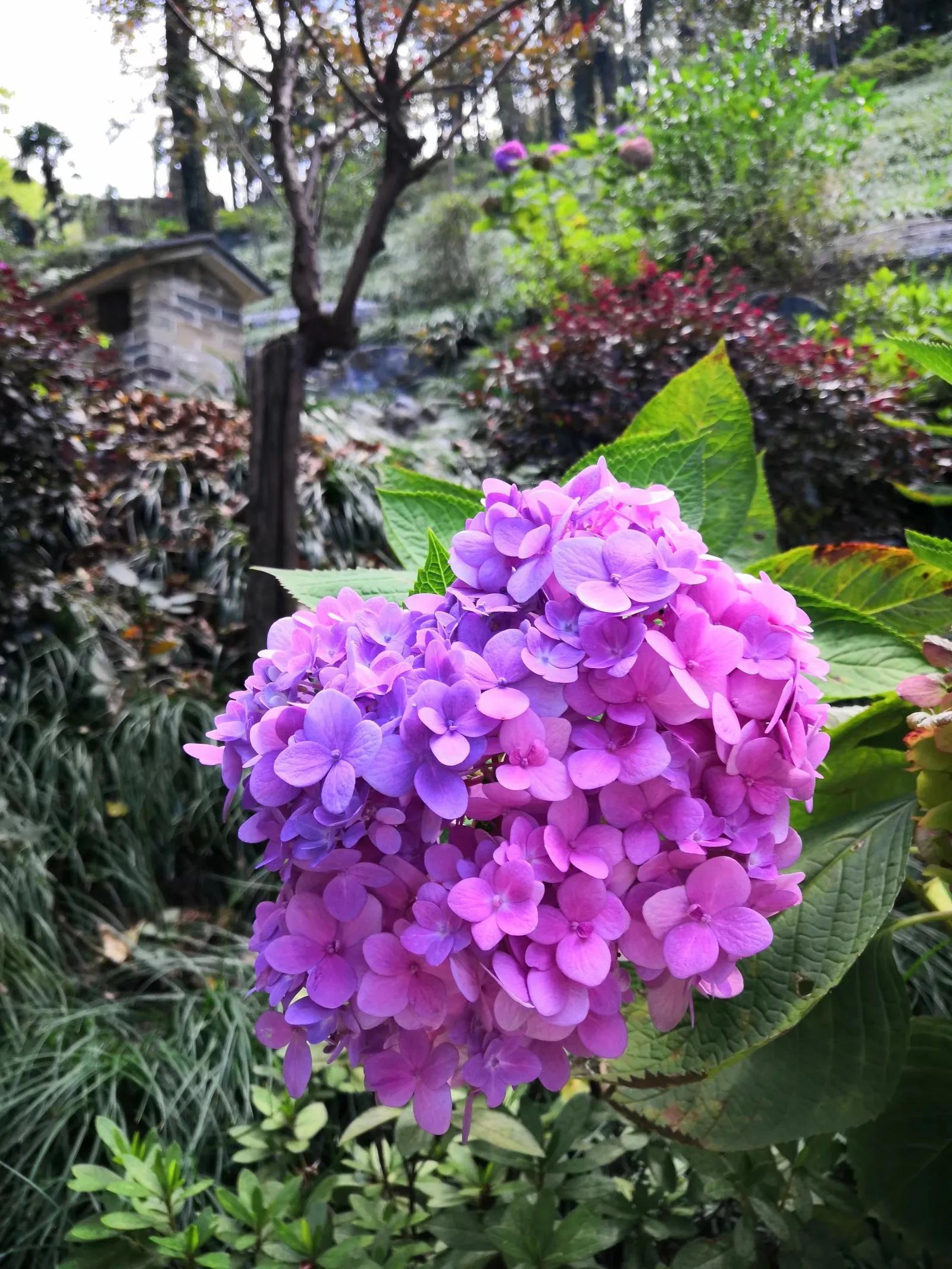 铜陵永泉玻璃滑道,铜陵永泉农庄游乐设施