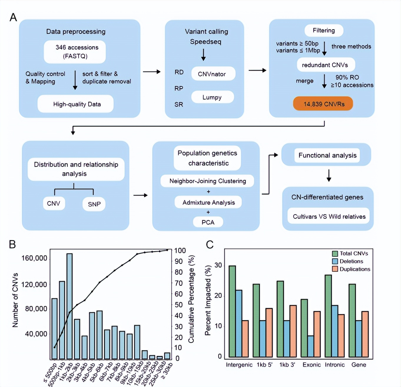 对不同苹果种群，进行拷贝数变异综合分析，CNVs综合图谱有何特点