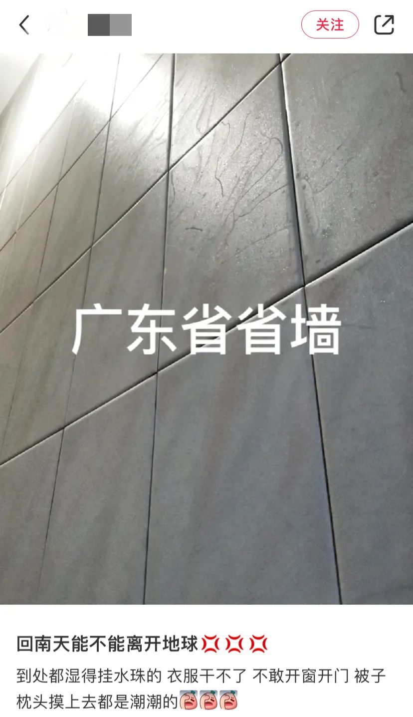 广东人每天吃隔夜菜,隔夜食材