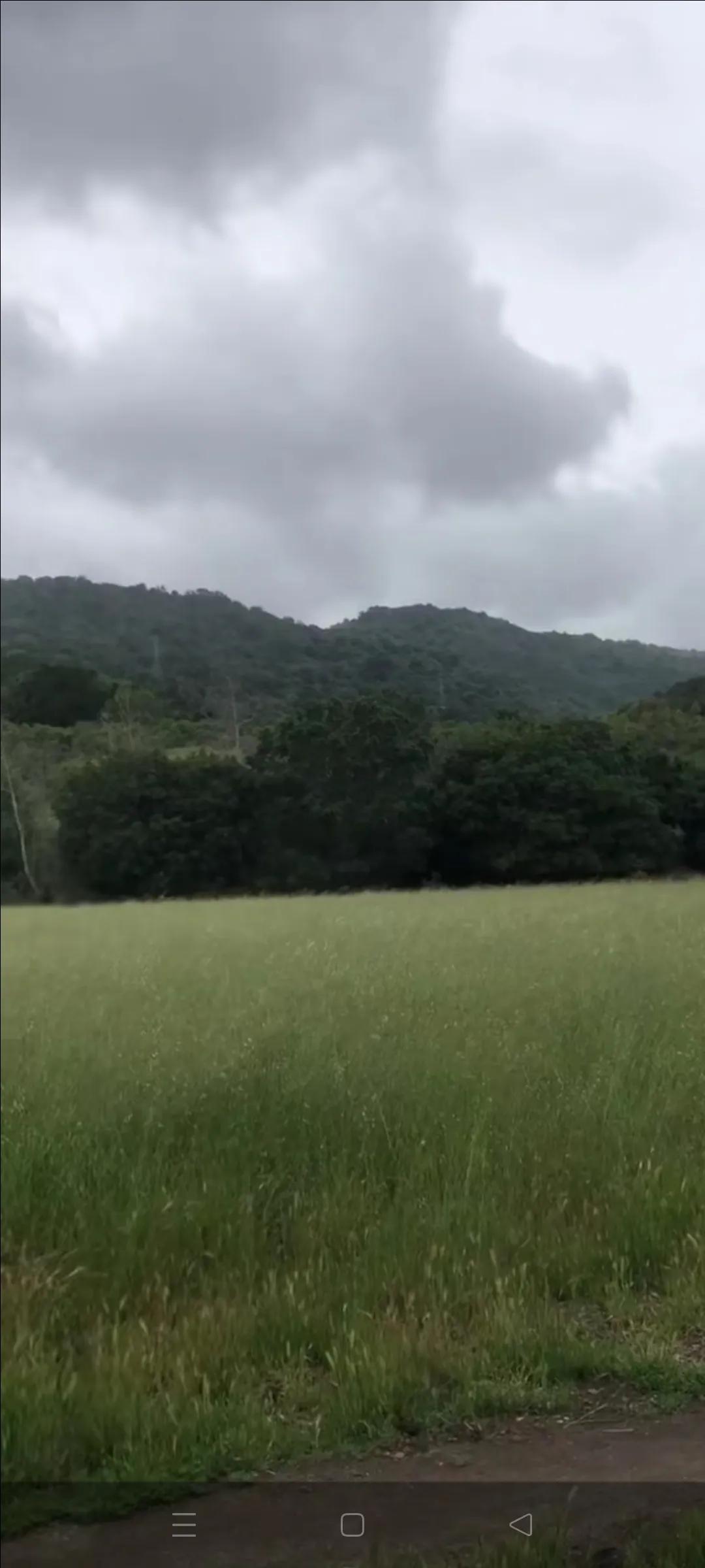 家的故事装修公司,家的故事游戏