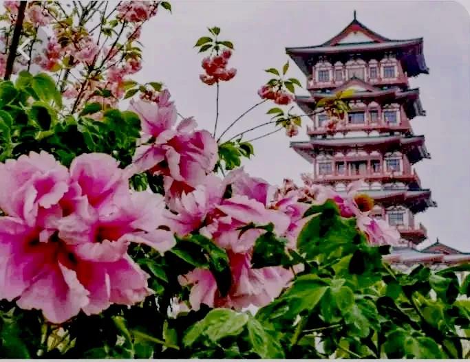 一等功老兵隐姓埋名36年采访,一等功退伍老兵慰问战士