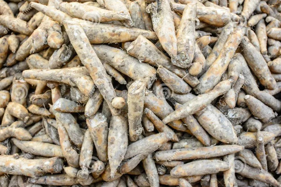 根类食物大全 (5种根菜类的食材)