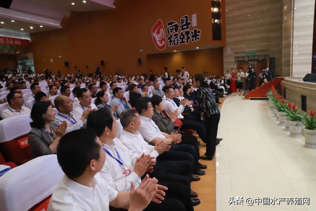 2023年南县小龙虾价格行情,南县小龙虾价格报价