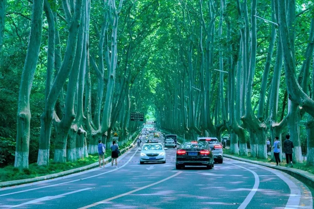 南京好玩的地方,南京是个好地方歌曲