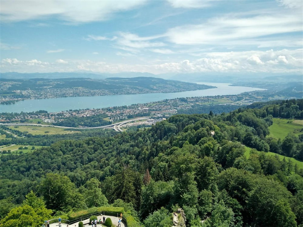 加蓬黑脸猩猩,加蓬长尾猴图片