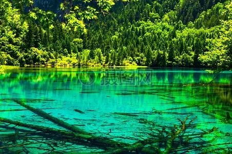 人间仙境九寨沟图片,人间仙境九寨风景图片