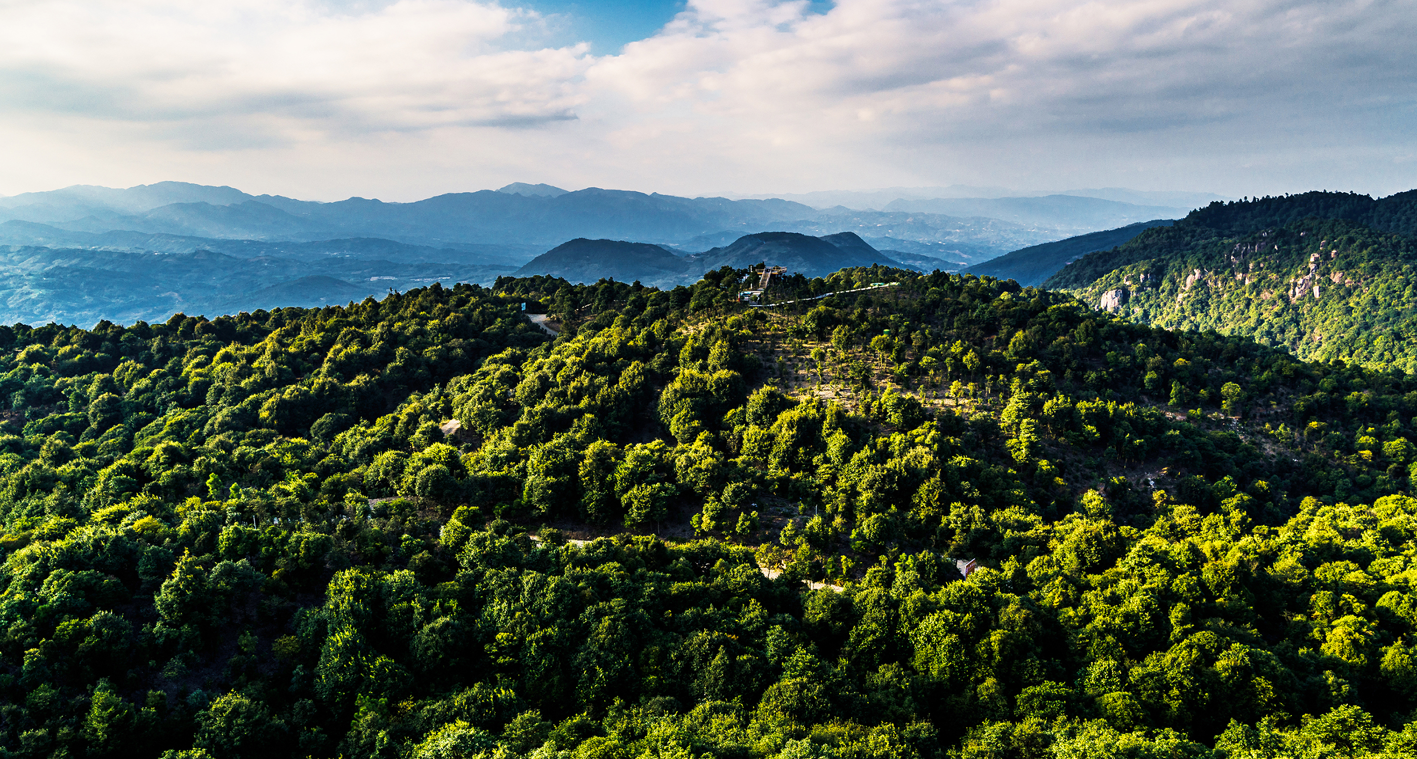 体验茶的独特韵味,探寻茶的乐趣视频