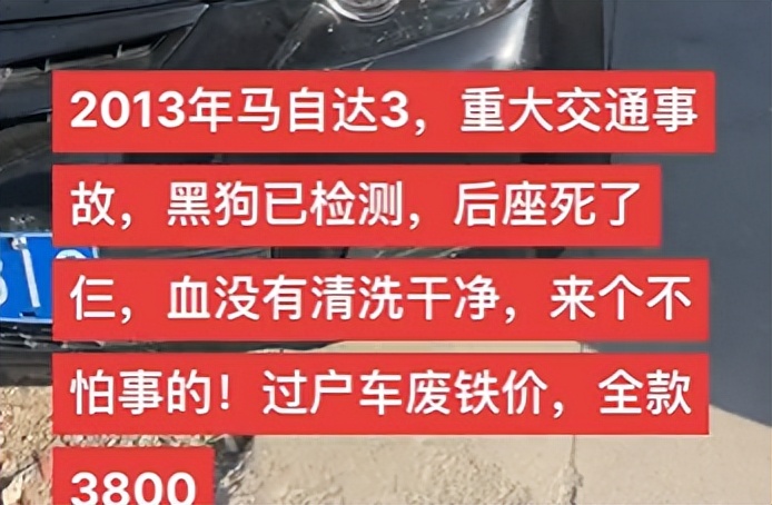 离谱！山东大哥专卖死人车：车有多凶，全看小*狗黑**上车坐哪？？