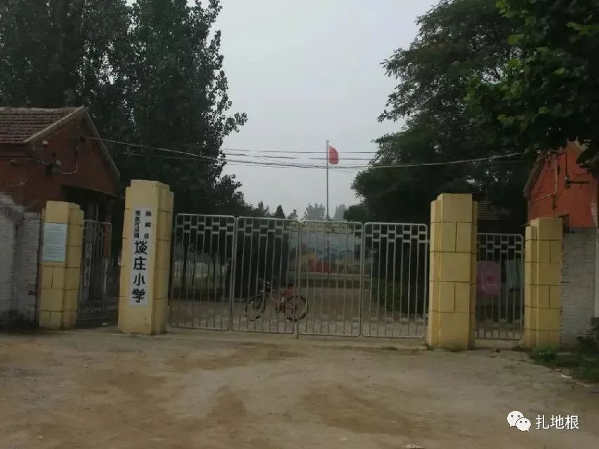 衡水市区比较好的小学有哪些,衡水公办小学有哪些