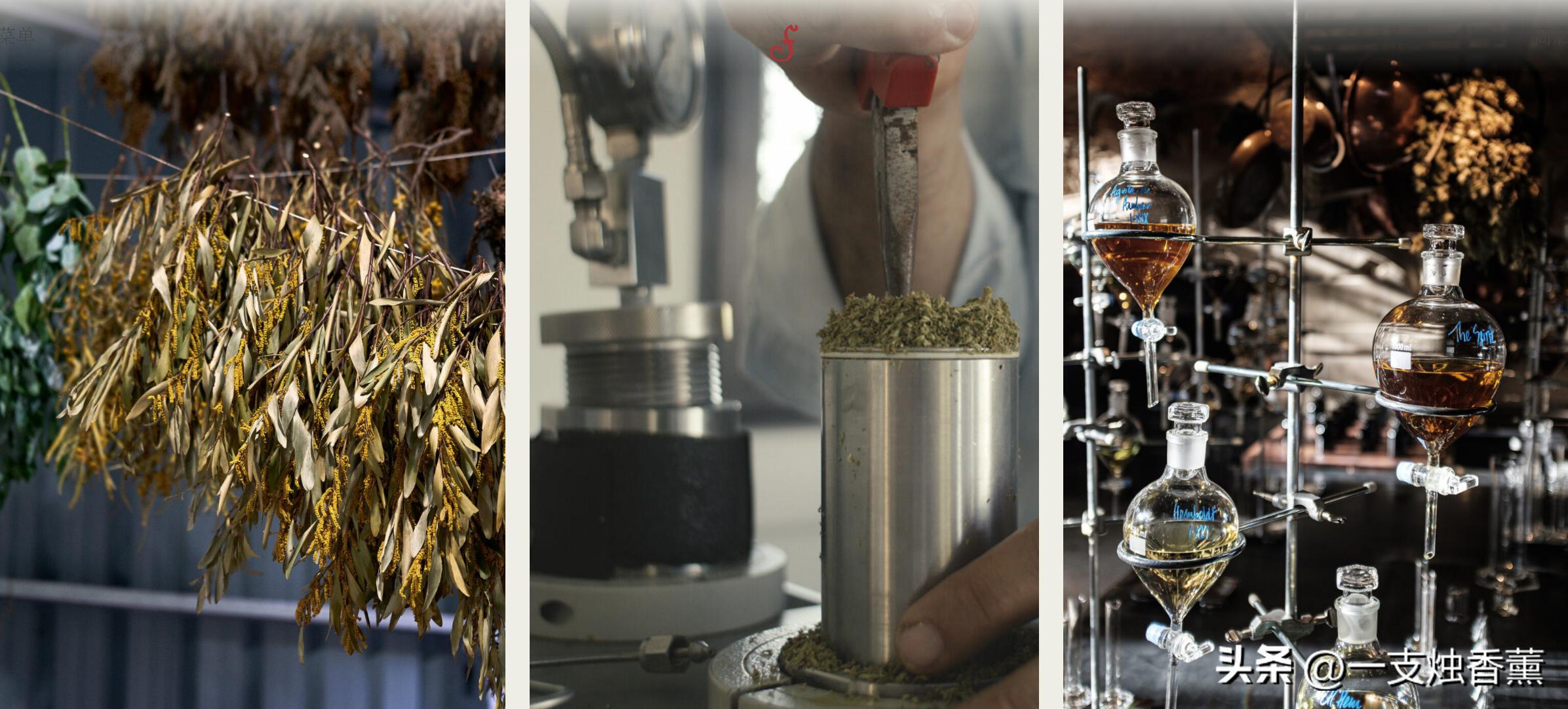 卡塔尔世界杯限定可乐,卡塔尔世界杯纪念品正品