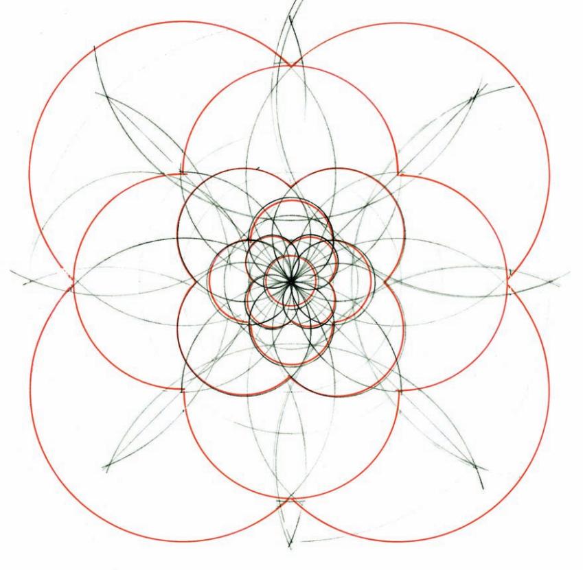 几何之花2：圆的内部分裂