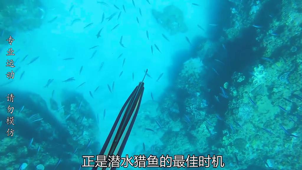 水下能见度3-5米潜水体验感怎么样,能见度20米的海