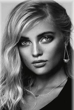 亚洲大黄蜂诱捕全过程,亚洲大黄蜂与日本大黄蜂