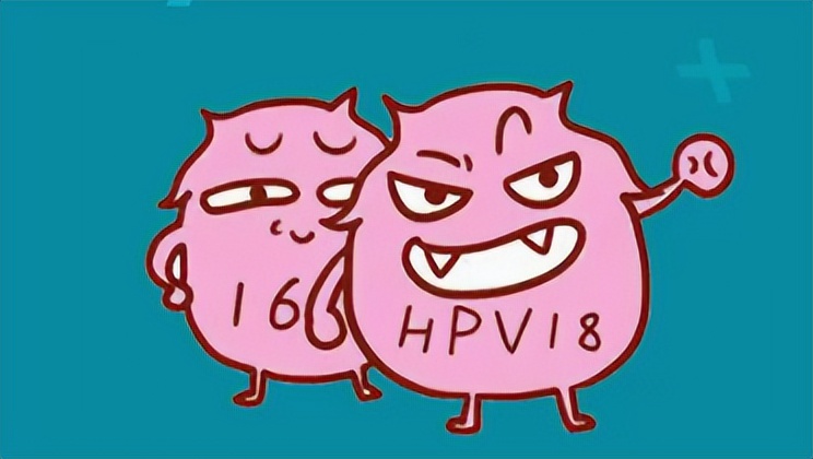 女性hpv阳性会影响怀孕吗,hpv35阳性能怀孕吗