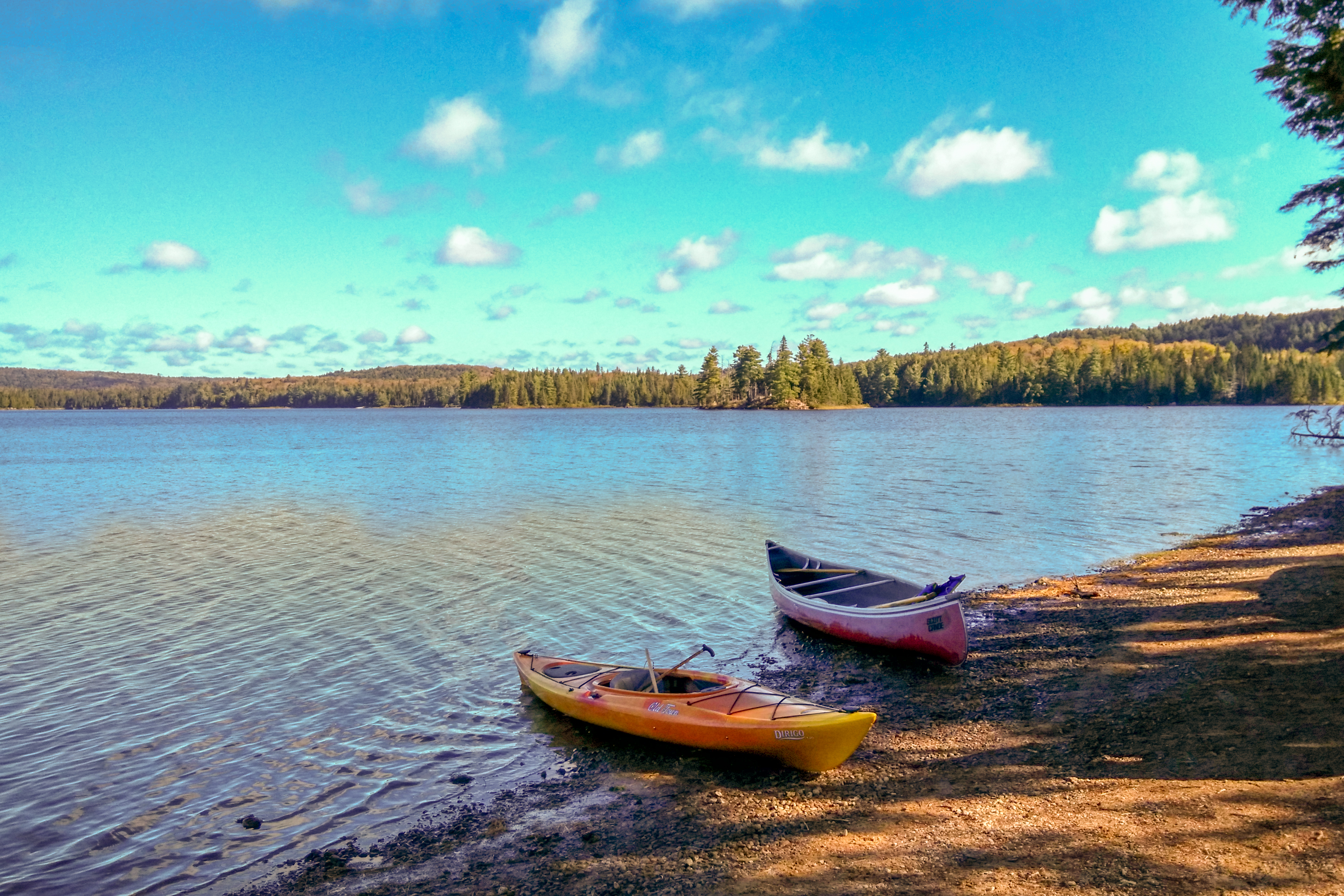 美东加东旅游,美东加东