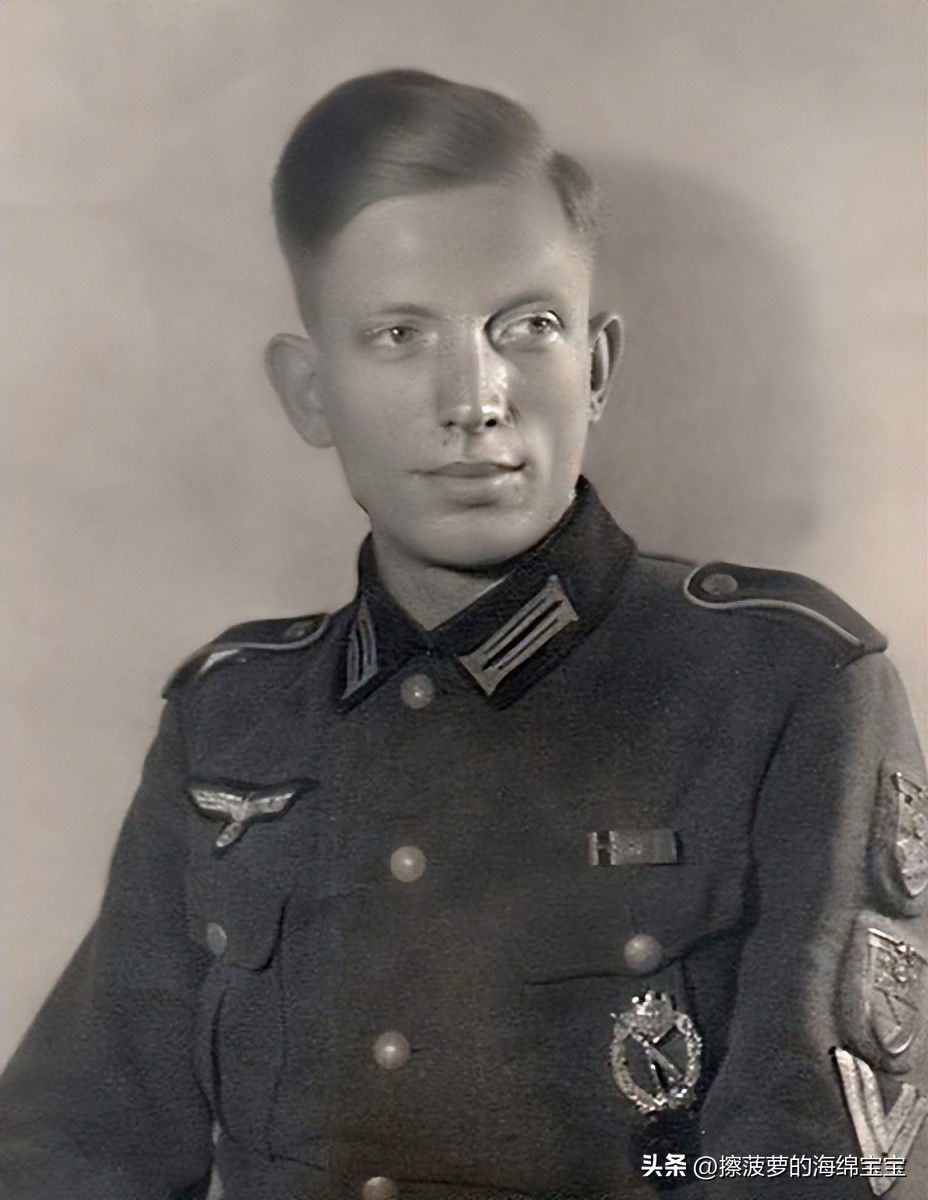 霍尔姆盾章二战德国,二战德国军奖章