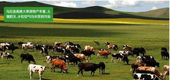 乌拉圭是西班牙殖民地吗,乌拉圭是南美的吗