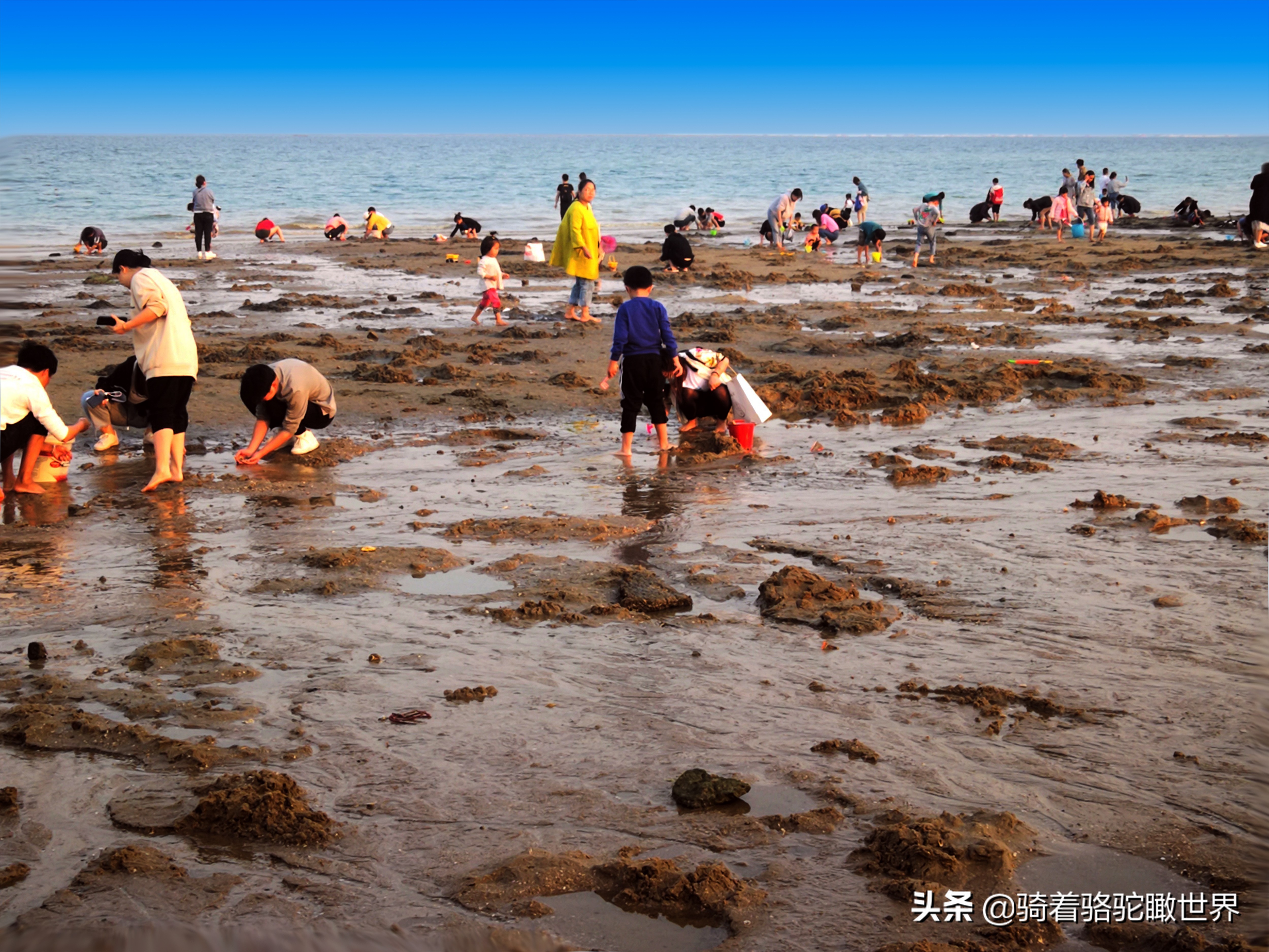 厦门彩虹沙滩赶海地方推荐,厦门鼓浪屿和彩虹沙滩