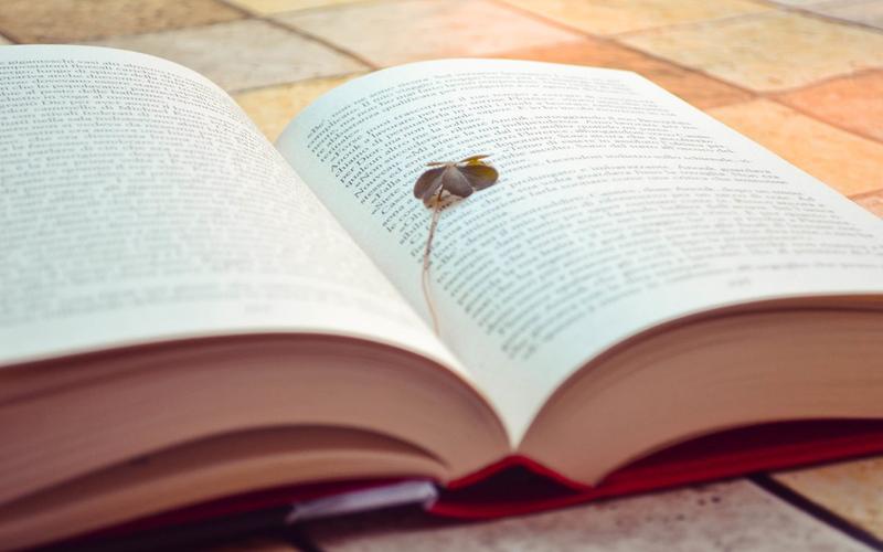 5岁多小孩厌学不想上学解决方法,中学生压力大不想上学怎么办