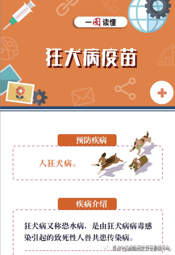疫苗科普类宣传视频,接种狂犬疫苗科普视频