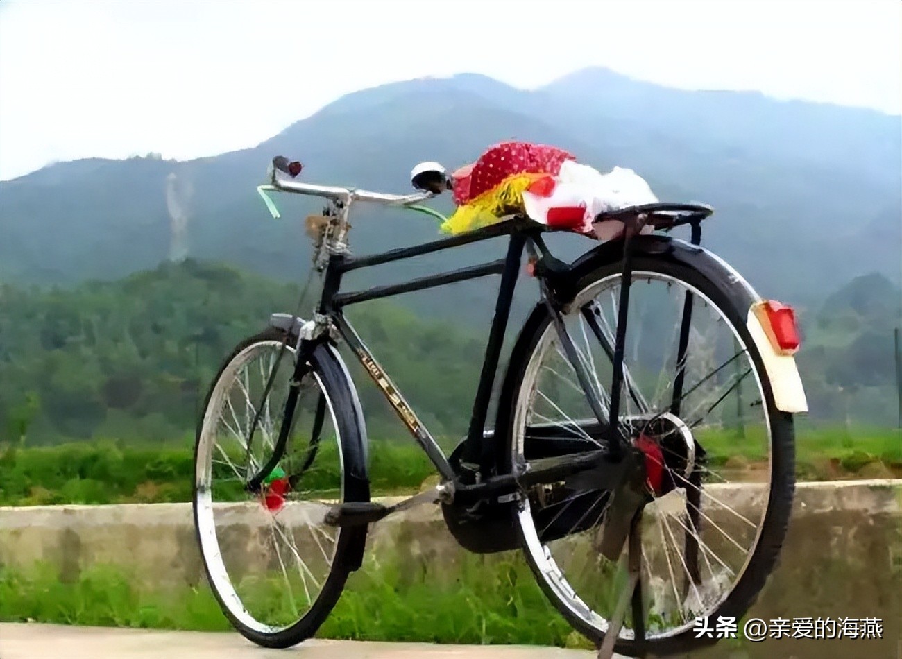 40年前凤凰自行车,40年前凤凰自行车二八大杠多少钱