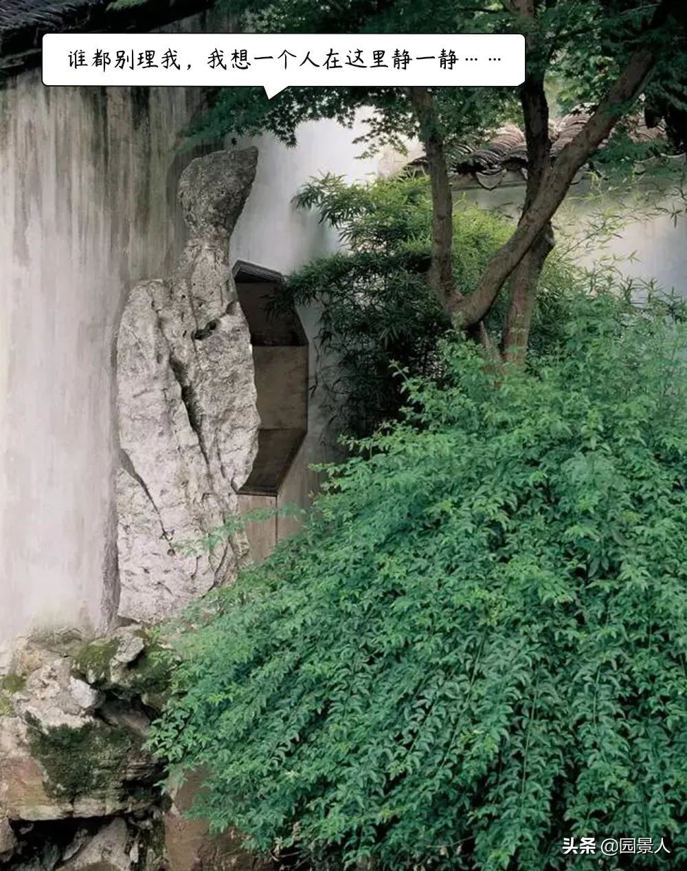 留园江南奇石特点,留园中园的奇石