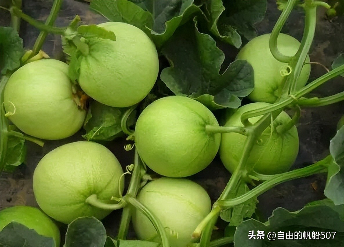 辽宁省沈阳市新民市地图,辽宁省沈阳市新民市住家阿姨