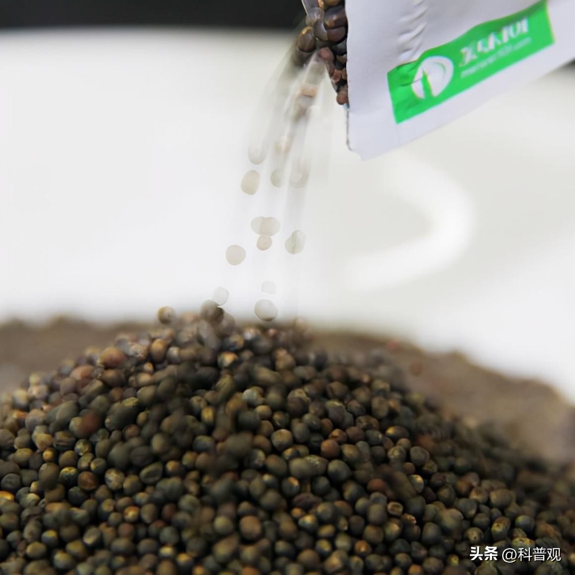 日本垄断中国市场百分之多少,日本垄断的西兰花