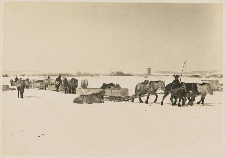 鏃ュ啗渚靛崕鍏借,渚靛崕鏃ュ啗鍏借