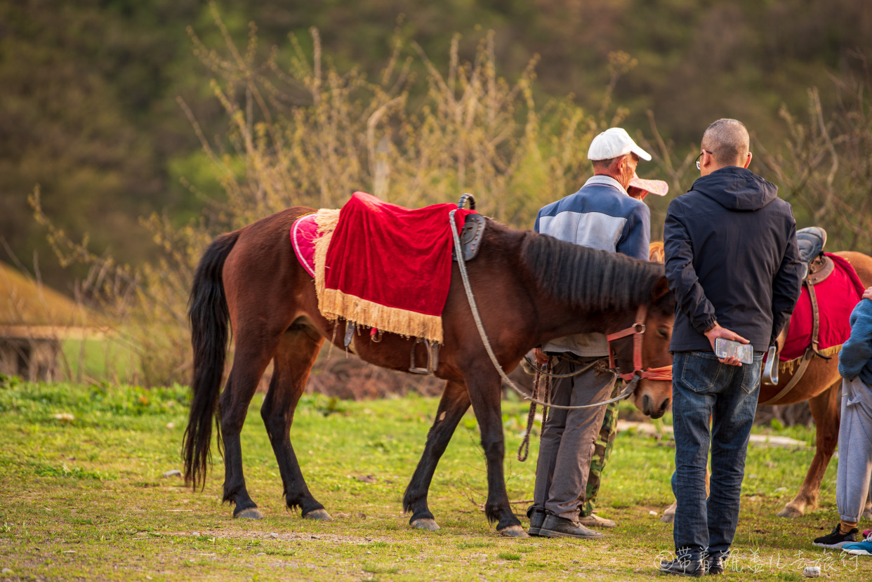 巫溪红叶自驾游,巫溪红池坝云中花海景点讲解