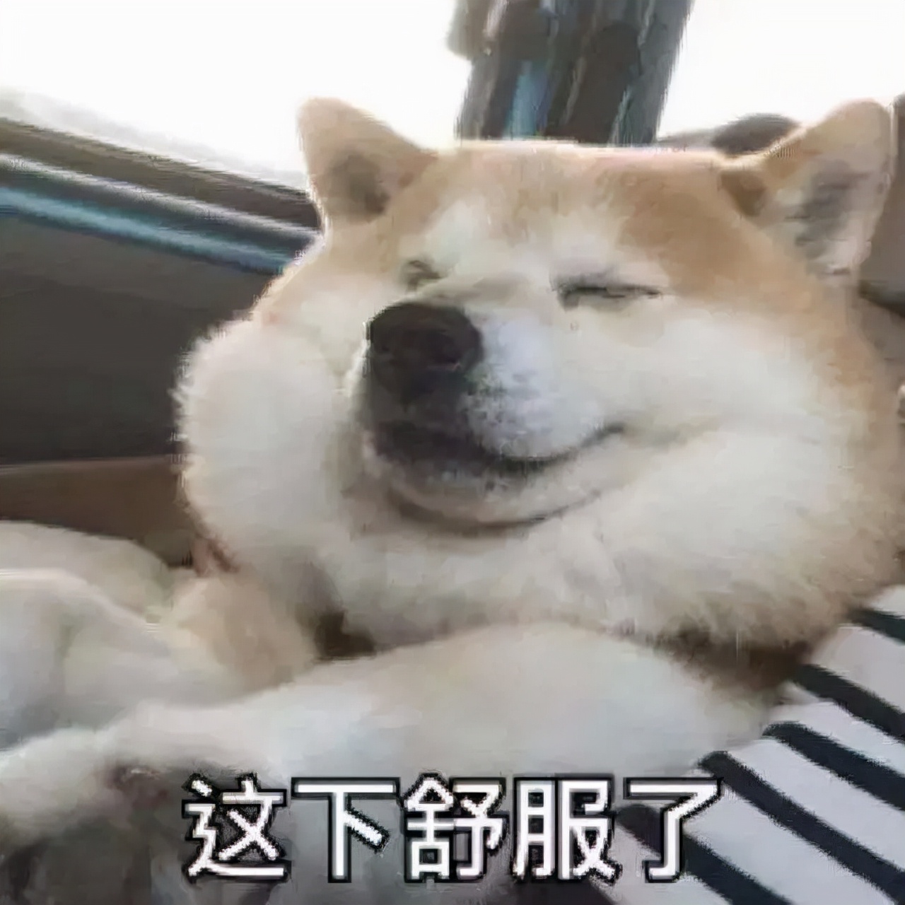 四岁出道的郝劭文直播带货,郝劭文直播混剪