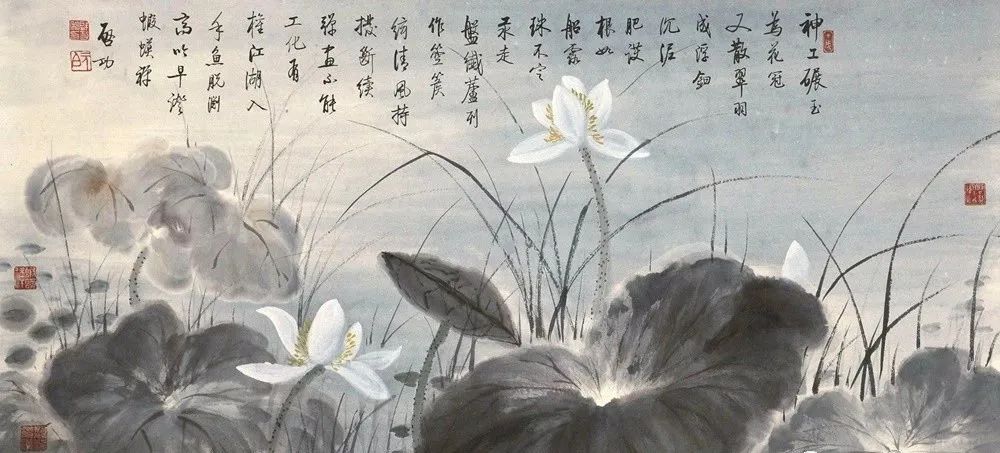启功荷花作品欣赏,启功《荷上花帖》