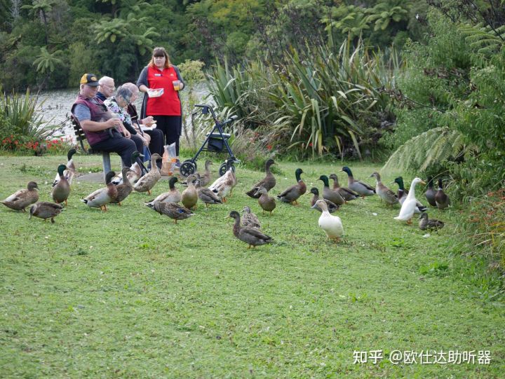 助听器适合老人用,助听器适用于什么人