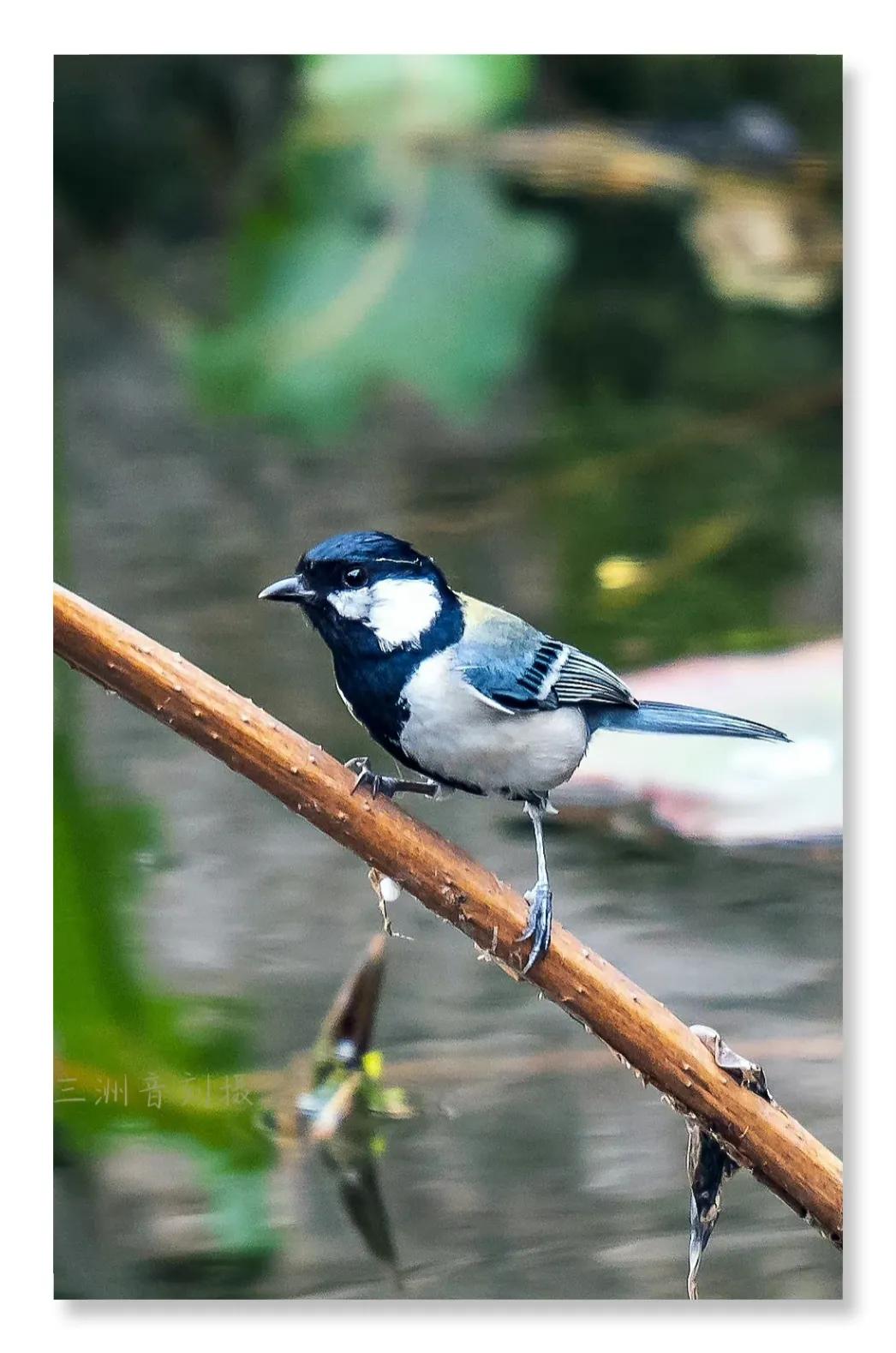 上海国际汽车城安亭,上海安亭国际汽车城