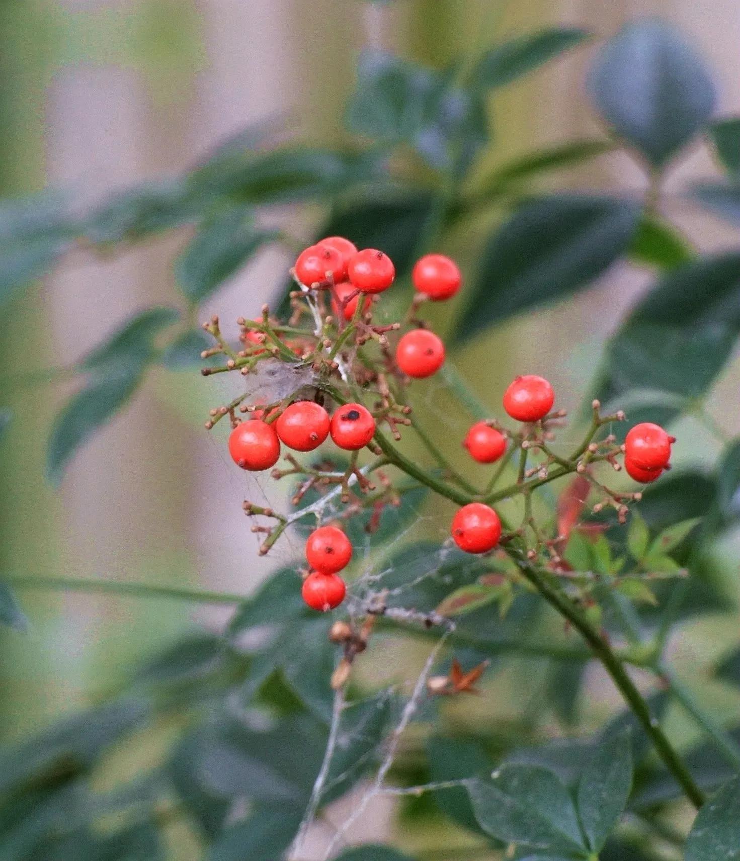用佳能60d拍照片,新手用佳能600d教程