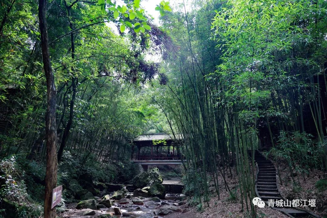 水灵妹旅行攻略,水灵妹旅游景点