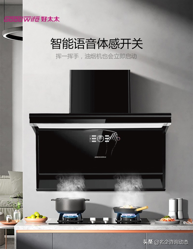 goodwife好太太油烟机央视广告,goodwife好太太油烟机官网型号