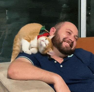 猫做核酸了么,猫核酸检测有必要做吗