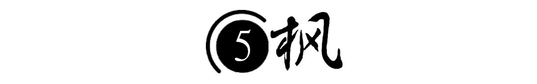 男子在臭水沟捡到一只乌龟,男子在河边捡到两只大乌龟