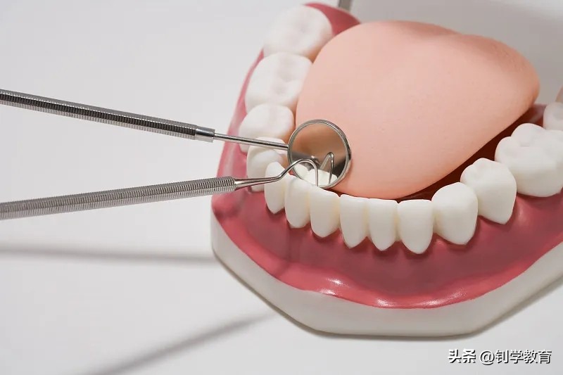 适合专科女生读的专业,专科怎么选喜欢的专业