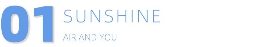 2023年6月19日债基,6月12日债基