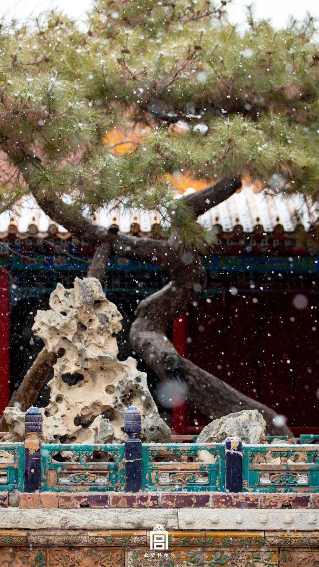 跨年文案2023最火古诗词,适合祝贺新年的优美的文案古诗词