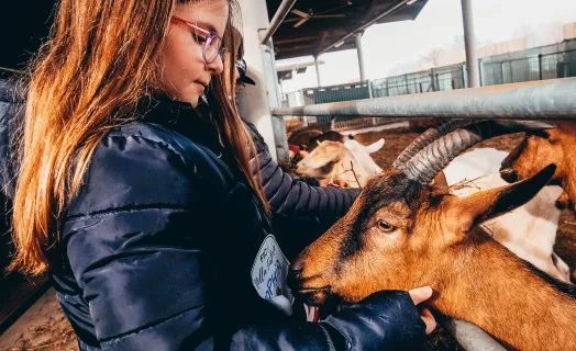 产业创造商业新标签——美食界迪士尼的创新之路