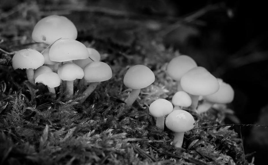 2005年,吉林山村尴尬事,村民深夜睡觉总尿床,老人:真丢人怎么见人