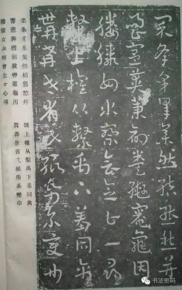 草书主要特点是什么书写有何技巧,草书意义和价值