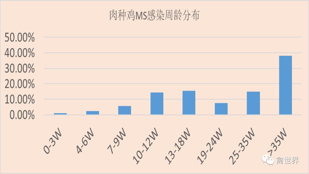 大数据｜2019年-2022年4月我国鸡滑液囊支原体流行病学调查报告