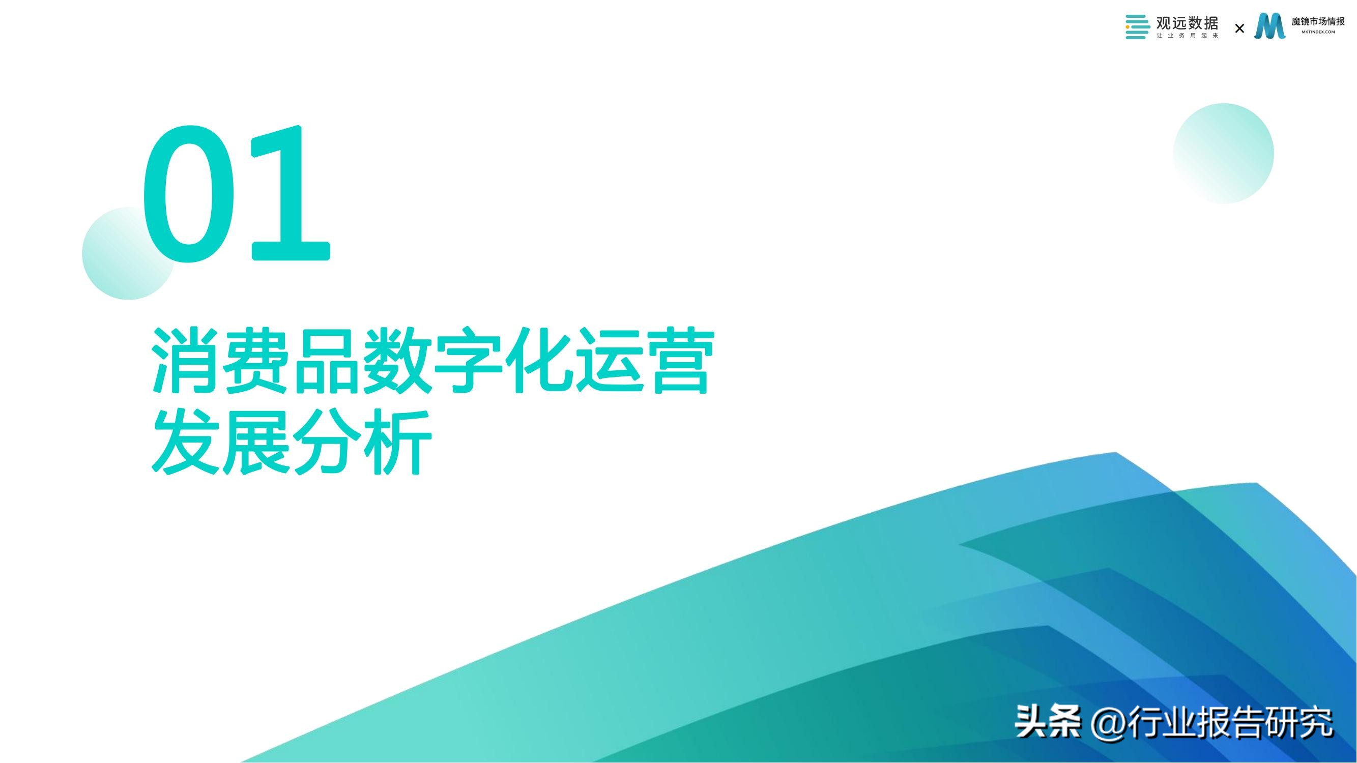 消费行业2023年消费者洞察白皮书,2022消费品零售业分析报告