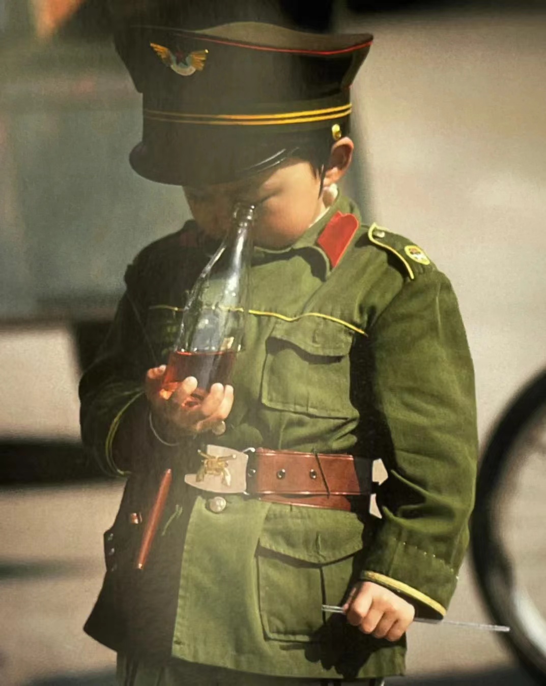 去加拿大当伐木工,如何去加拿大做伐木工