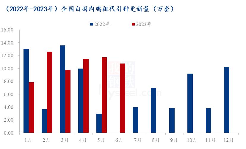 2023白羽肉鸡今后行情分析,白羽肉鸡市场分析