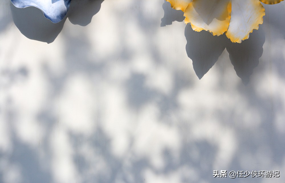 郑州最新打卡地海滩街,郑州海滩街现在可以去吗